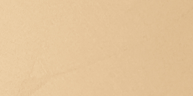 Hazelnut Hazelnut